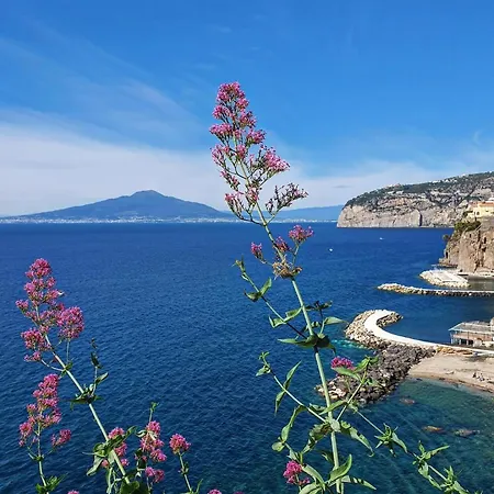 Imma Сasa de vacaciones *